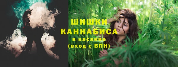 шишки Алексеевка