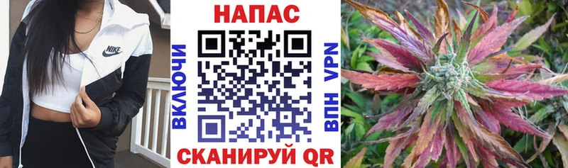 Шишки марихуана гибрид Махачкала