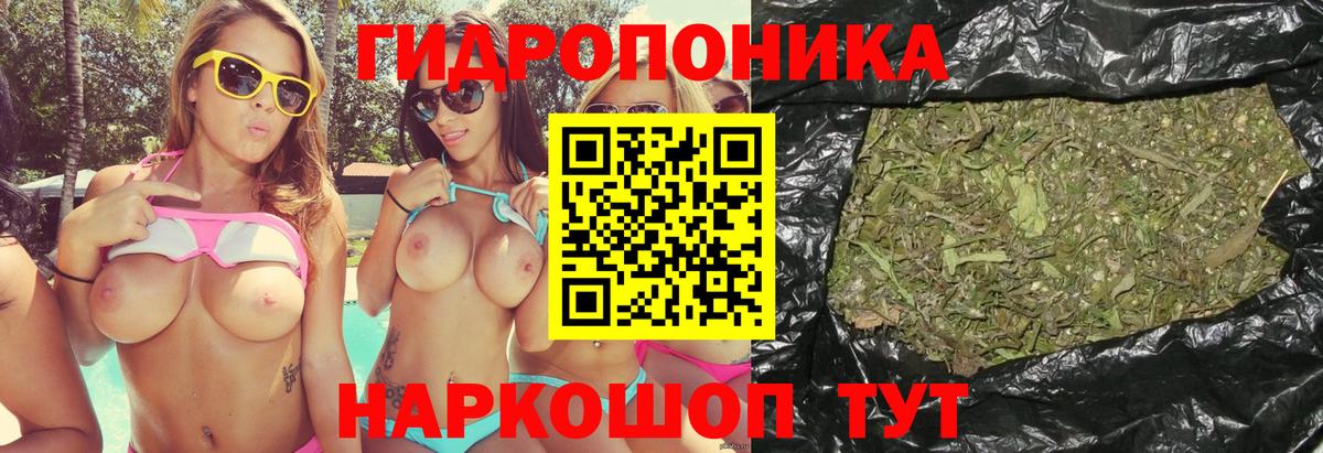 Махачкала  МАРИХУАНА White Widow  Бошки марихуана сатива  Марихуана Ganja  Вход с VPN 